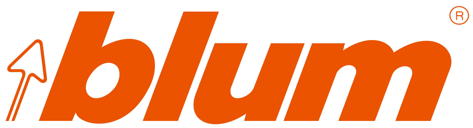 Blum Logo